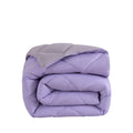 Lavendel Paars